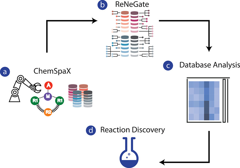 HiRex: high-throughput reactivity exploration