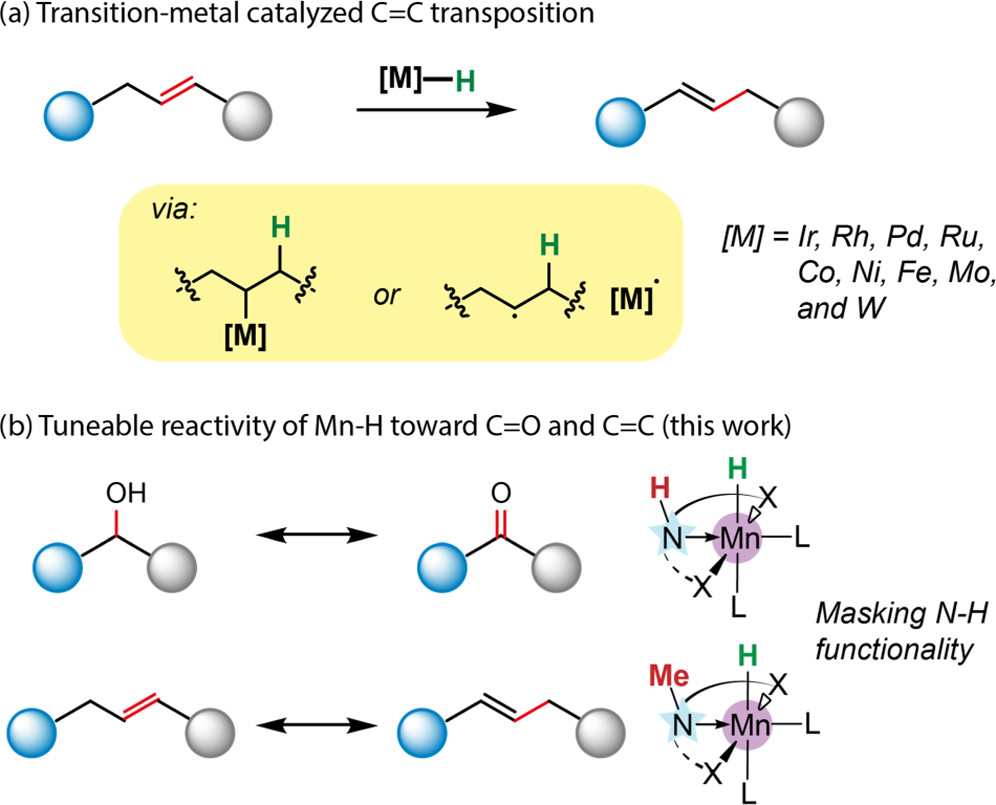 Yang et al. ACS Catal. 2022