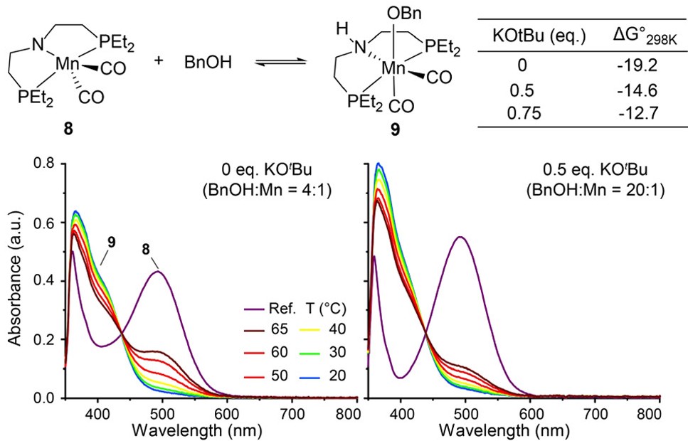 Yang et al. JACS 2022